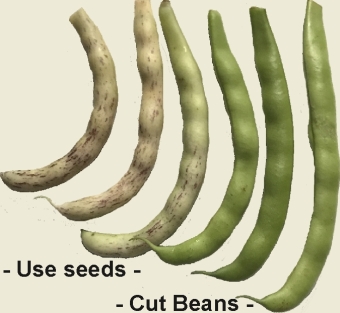Six Beans
