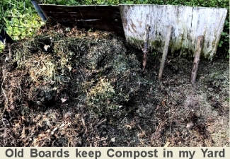 Boards at Compost Pile
