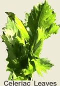 Dried Celery Leaves