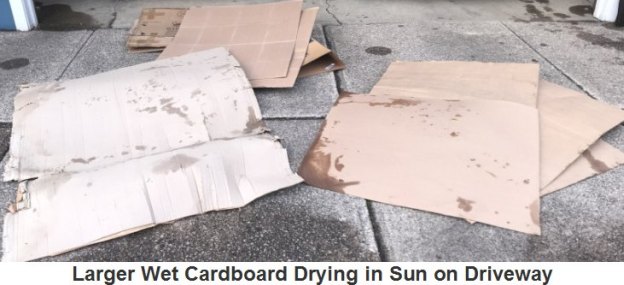Larger Wet Cardboard Drying in Driveway