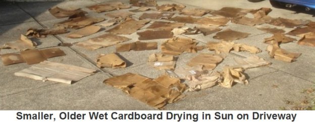 Smaller Wet Cardboard Drying in Driveway