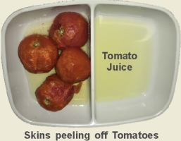 Thawed Tomatoes and Juice